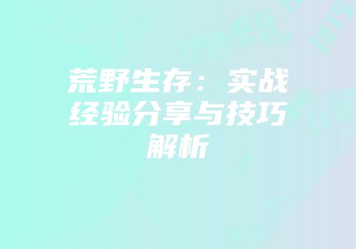 荒野生存：实战经验分享与技巧解析