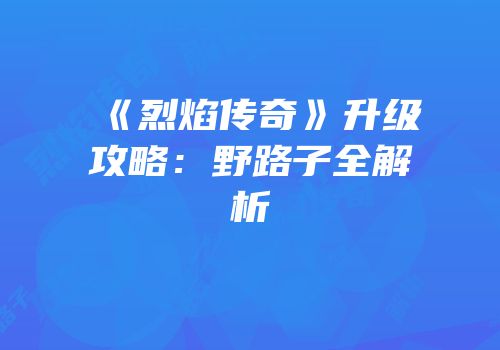 《烈焰传奇》升级攻略：野路子全解析
