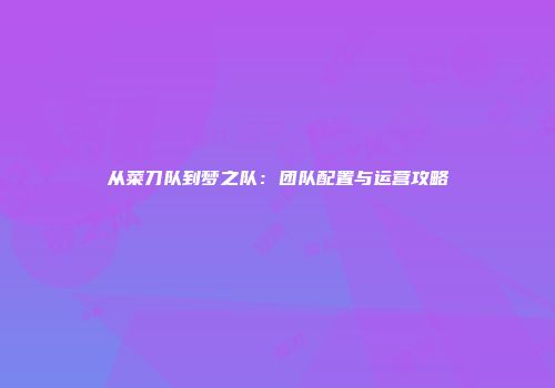从菜刀队到梦之队：团队配置与运营攻略