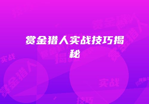 赏金猎人实战技巧揭秘