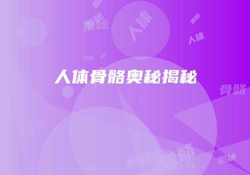 人体骨骼奥秘揭秘