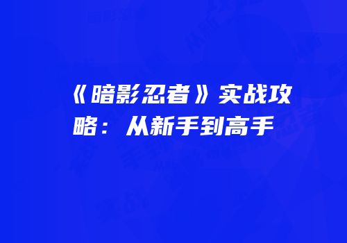 《暗影忍者》实战攻略：从新手到高手