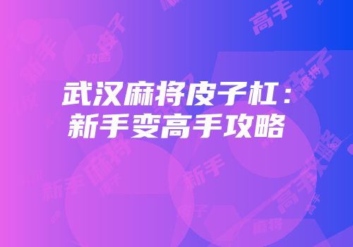 武汉麻将皮子杠：新手变高手攻略