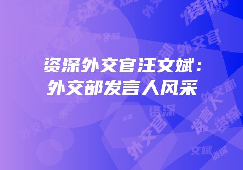 资深外交官汪文斌：外交部发言人风采