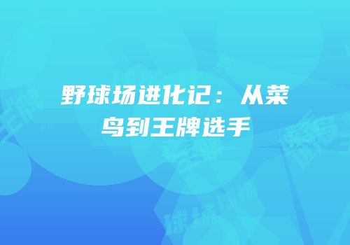 野球场进化记：从菜鸟到王牌选手