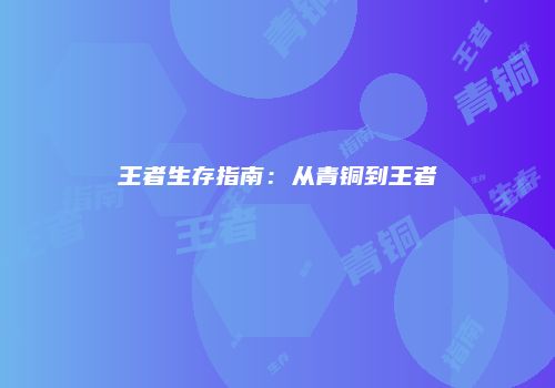 王者生存指南：从青铜到王者