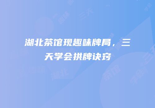 湖北茶馆现趣味牌局，三天学会拱牌诀窍