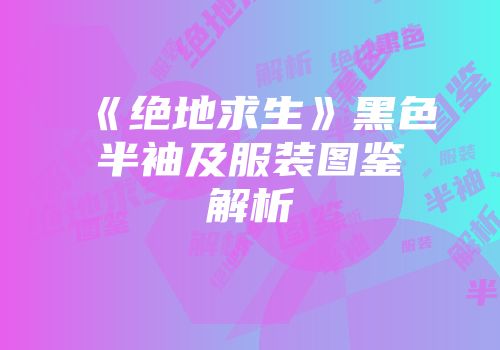 《绝地求生》黑色半袖及服装图鉴解析