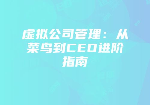 虚拟公司管理：从菜鸟到CEO进阶指南