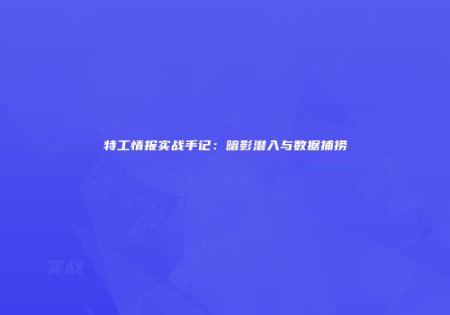 特工情报实战手记：暗影潜入与数据捕捞
