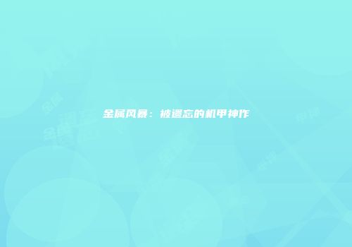 金属风暴：被遗忘的机甲神作