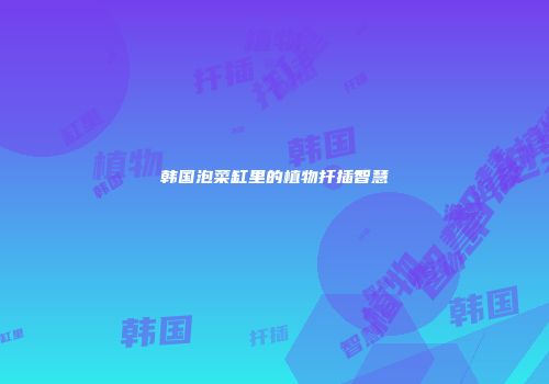 韩国泡菜缸里的植物扦插智慧