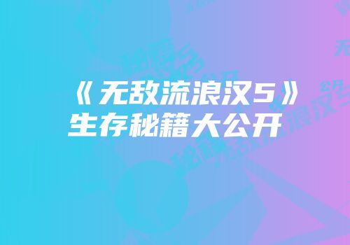 《无敌流浪汉5》生存秘籍大公开