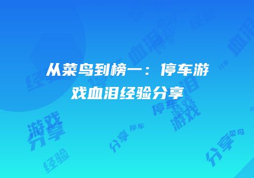 从菜鸟到榜一：停车游戏血泪经验分享