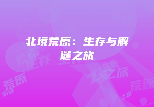 北境荒原：生存与解谜之旅