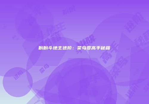 盼盼斗地主进阶：菜鸟变高手秘籍