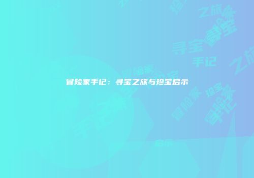 冒险家手记：寻宝之旅与珍宝启示