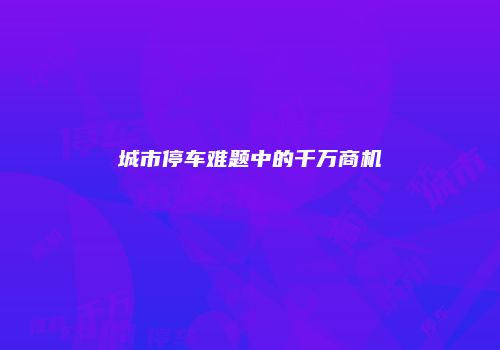 城市停车难题中的千万商机