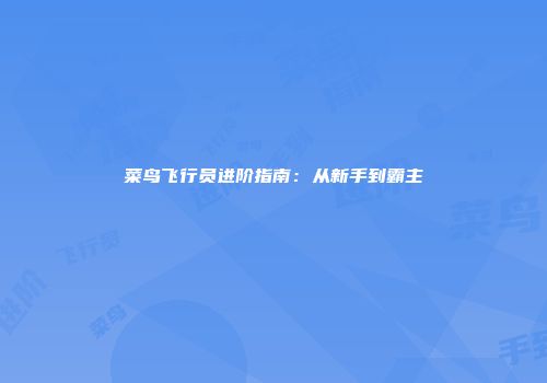 菜鸟飞行员进阶指南：从新手到霸主