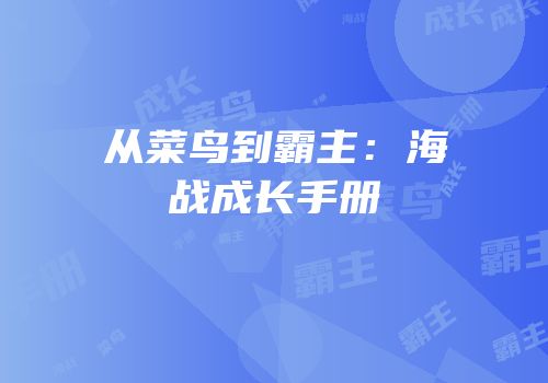 从菜鸟到霸主：海战成长手册