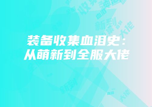 装备收集血泪史：从萌新到全服大佬