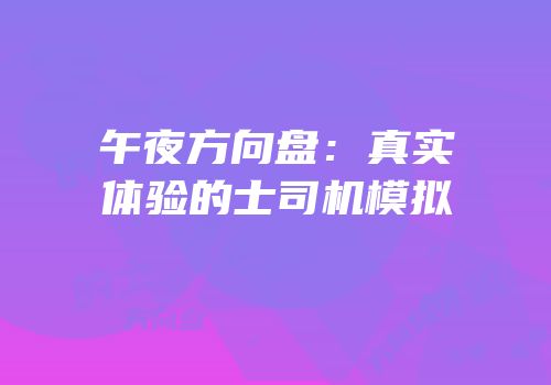 午夜方向盘：真实体验的士司机模拟