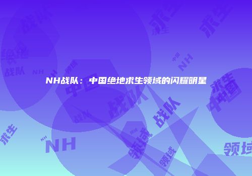 NH战队：中国绝地求生领域的闪耀明星