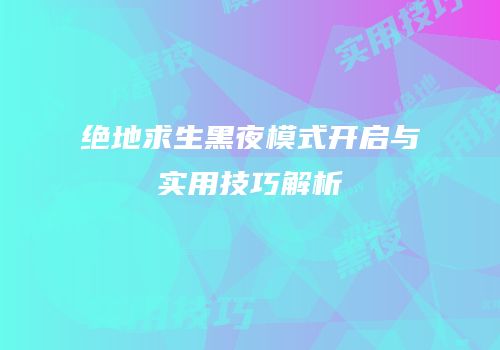 绝地求生黑夜模式开启与实用技巧解析