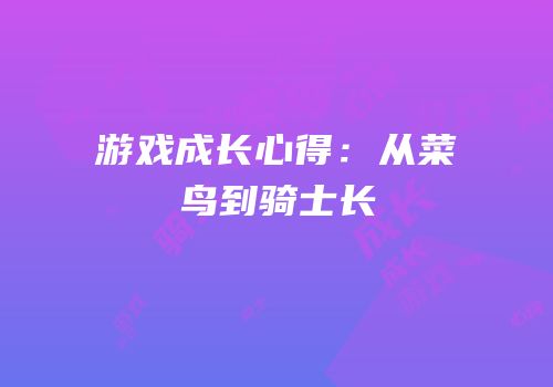 游戏成长心得：从菜鸟到骑士长