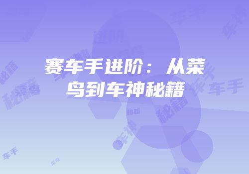赛车手进阶：从菜鸟到车神秘籍