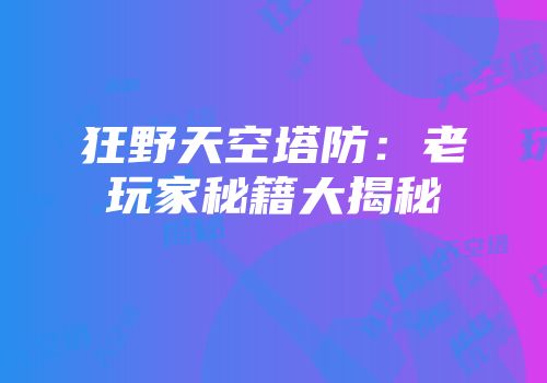 狂野天空塔防：老玩家秘籍大揭秘