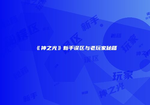 《神之光》新手误区与老玩家秘籍