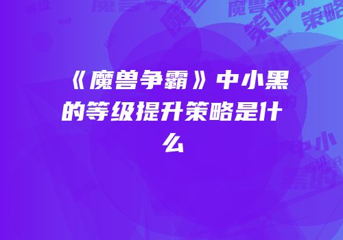 《魔兽争霸》中小黑的等级提升策略是什么