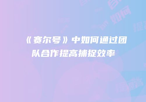 《赛尔号》中如何通过团队合作提高捕捉效率