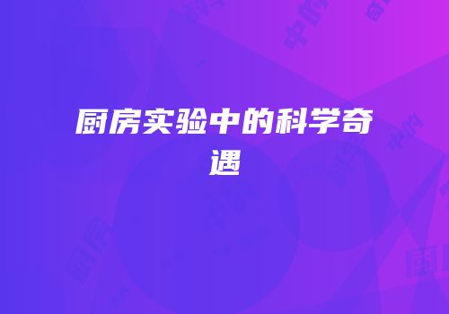 厨房实验中的科学奇遇
