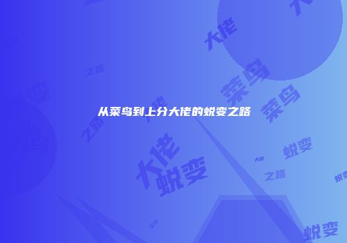 从菜鸟到上分大佬的蜕变之路