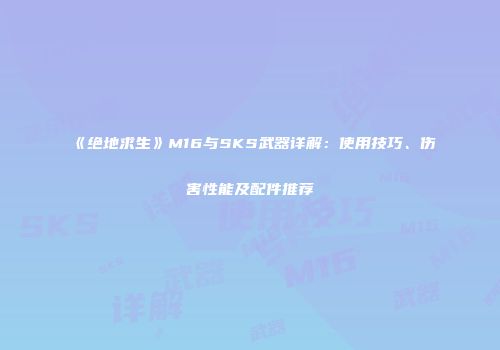 《绝地求生》M16与SKS武器详解：使用技巧、伤害性能及配件推荐