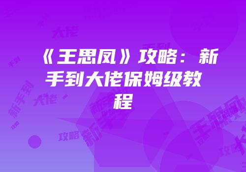 《王思凤》攻略：新手到大佬保姆级教程