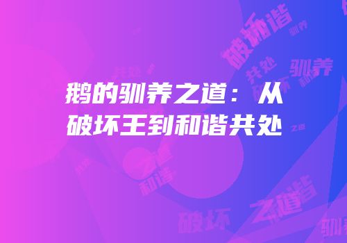 鹅的驯养之道：从破坏王到和谐共处