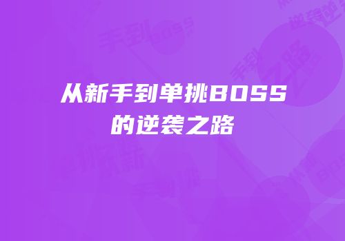 从新手到单挑BOSS的逆袭之路