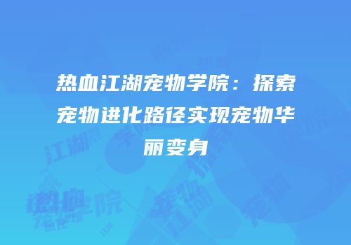 热血江湖宠物学院：探索宠物进化路径实现宠物华丽变身