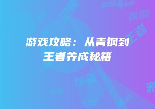 游戏攻略：从青铜到王者养成秘籍