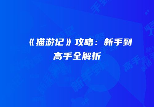 《猫游记》攻略：新手到高手全解析