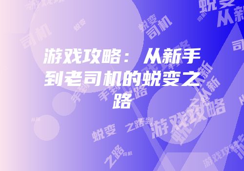 游戏攻略：从新手到老司机的蜕变之路