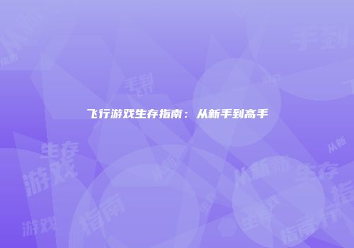 飞行游戏生存指南：从新手到高手