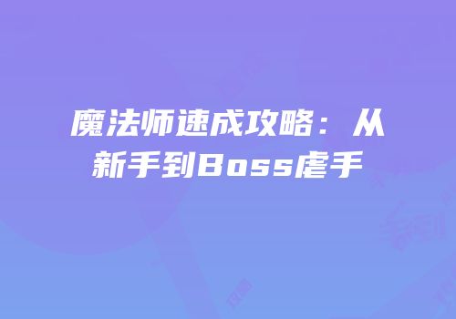 魔法师速成攻略：从新手到Boss虐手