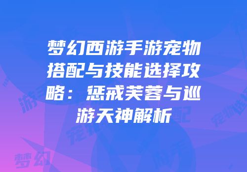 梦幻西游手游宠物搭配与技能选择攻略：惩戒芙蓉与巡游天神解析
