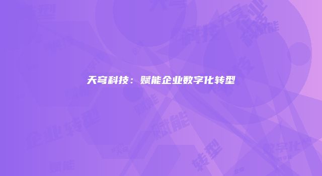 天穹科技：赋能企业数字化转型