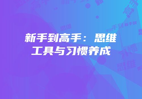 新手到高手：思维工具与习惯养成