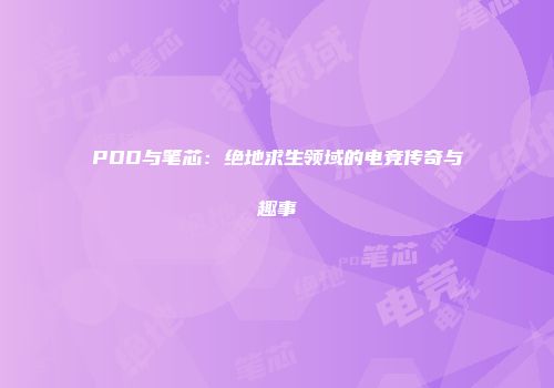 PDD与笔芯：绝地求生领域的电竞传奇与趣事